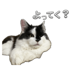 656626244