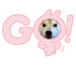 656643225
