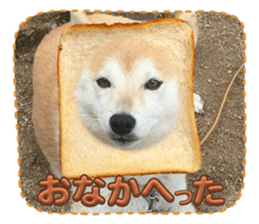 656643226
