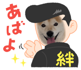 656643233