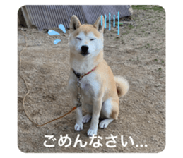 656643238