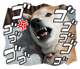 656643239