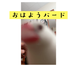 656644231