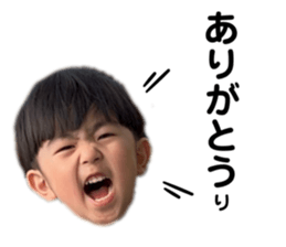 656645026