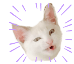 656645099