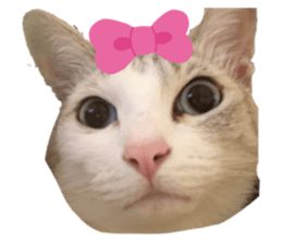 656645100
