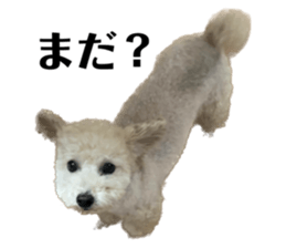 656648381