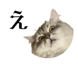 656658533