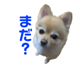 656670400