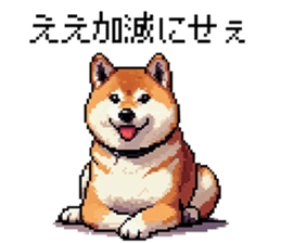 656683485