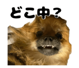 656683904