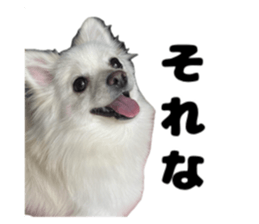 656683906