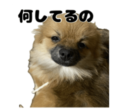 656683908