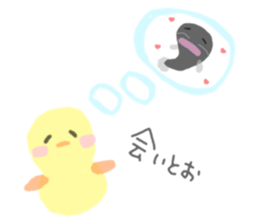 65669023
