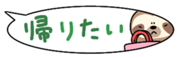 656696024
