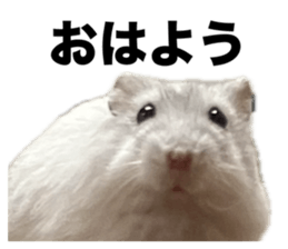 656703463