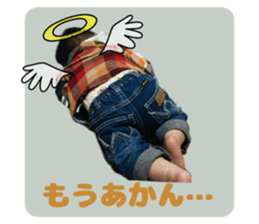 656713717