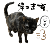 656720812