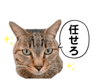 656720822