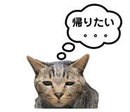 656720823