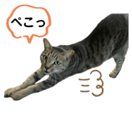 656720824
