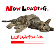 656720826