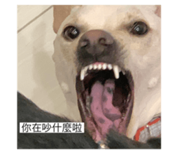 656721948