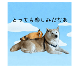 656722786