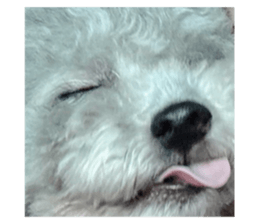 656724706