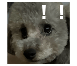 656724714