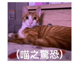 656726013