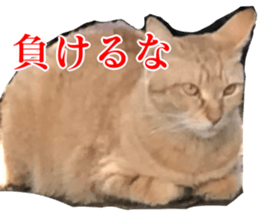 656771005