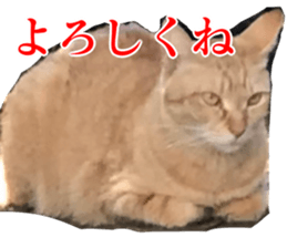 656771009