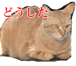 656771020