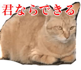 656771022