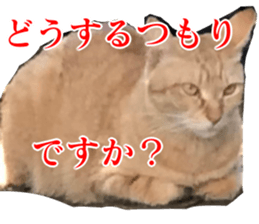 656771024