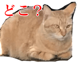 656771032