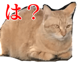 656771036