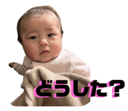 656785881
