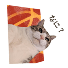 656820899