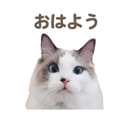 656828809