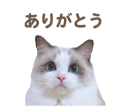 656828810