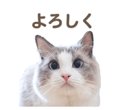 656828811