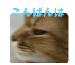656860588