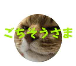 656860596