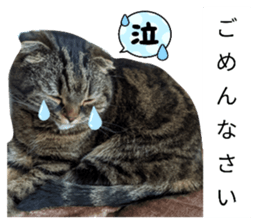 656881105