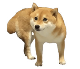 656905818