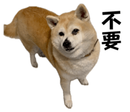 656905821