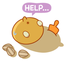 65691
