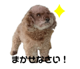 656910436